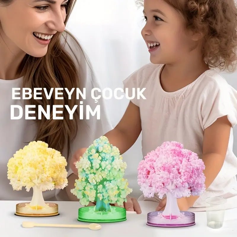 Çocuklar için STEM Kristal Büyüyen Ağaç Bilim Seti - MAKKA