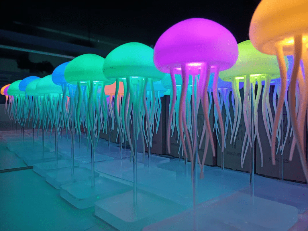 Dekoratif Deniz Anası Gece Lambası - MAKKA