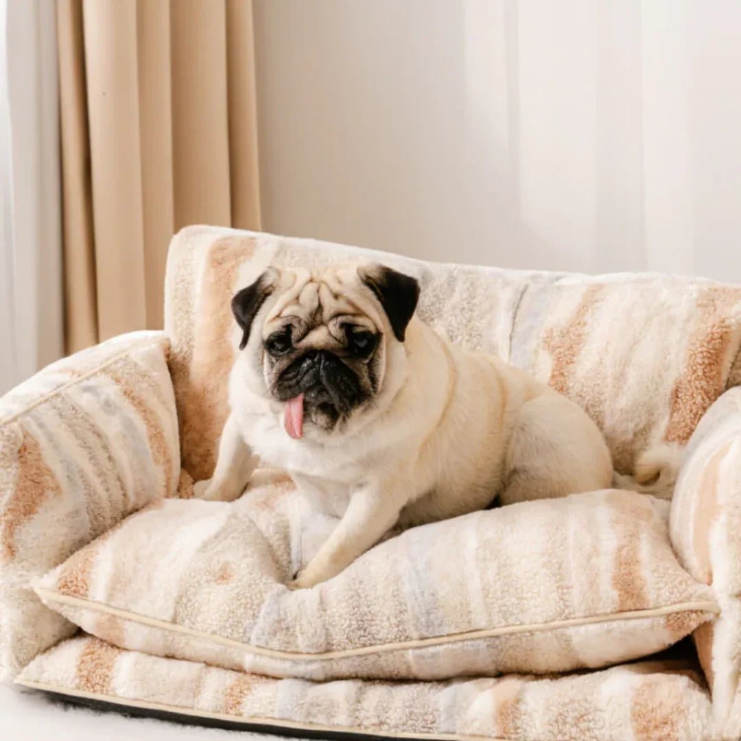 Paw Star Kedi Köpek Koltuğu - MAKKA