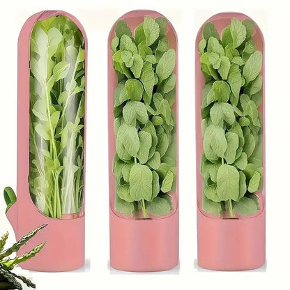 3'lü Siyah Kapaklı Şeffaf Plastik Saklama Kabı Klipsli Seti - MAKKA