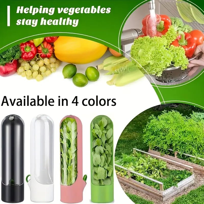 3'lü Siyah Kapaklı Şeffaf Plastik Saklama Kabı Klipsli Seti - MAKKA