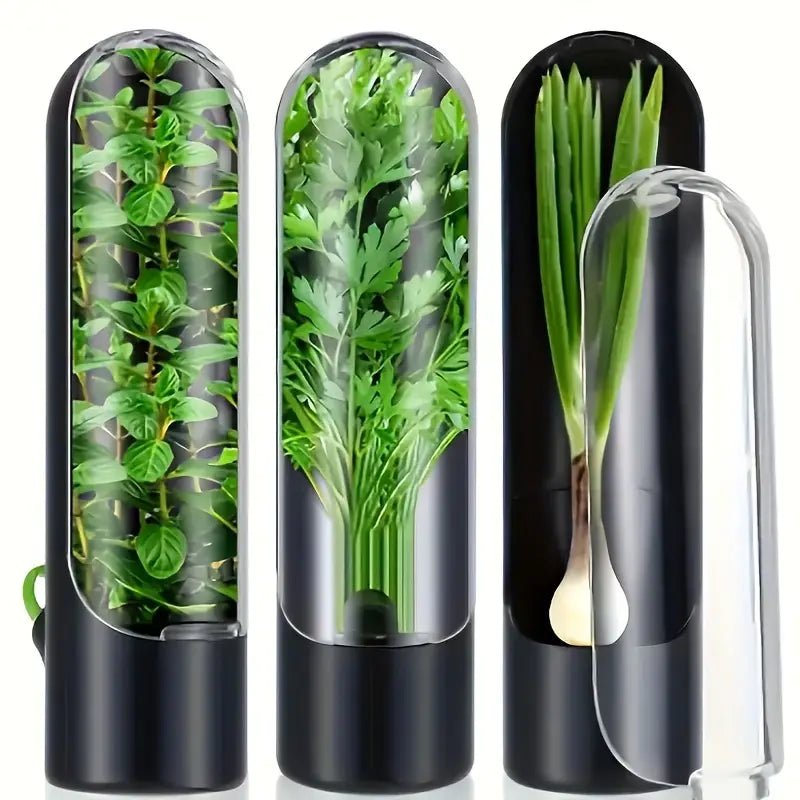 3'lü Siyah Kapaklı Şeffaf Plastik Saklama Kabı Klipsli Seti - MAKKA