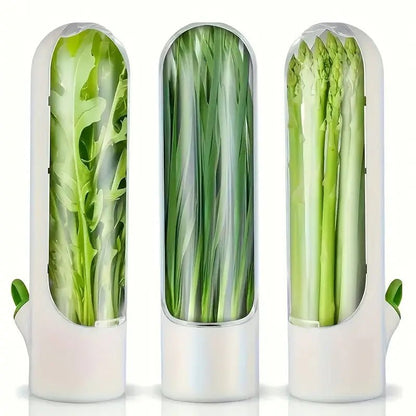 3'lü Siyah Kapaklı Şeffaf Plastik Saklama Kabı Klipsli Seti - MAKKA