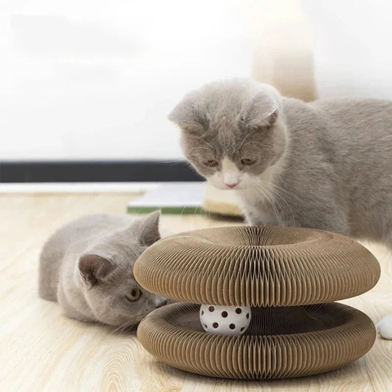 Paw Star Çok Fonksiyonlu Kedi Tırmalama Oyuncağı - MAKKA