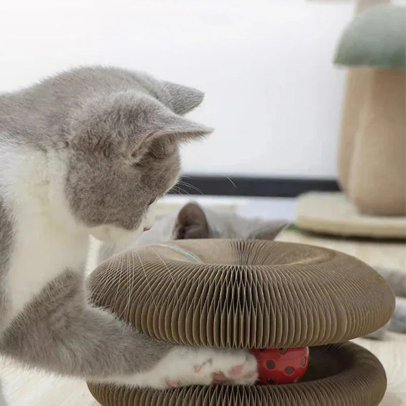 Paw Star Çok Fonksiyonlu Kedi Tırmalama Oyuncağı - MAKKA