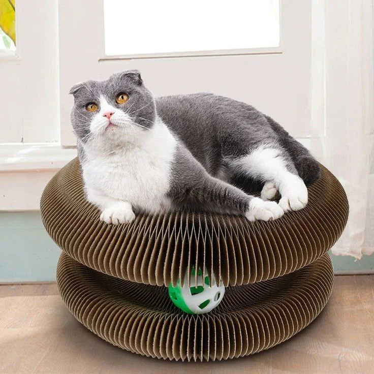 Paw Star Çok Fonksiyonlu Kedi Tırmalama Oyuncağı - MAKKA