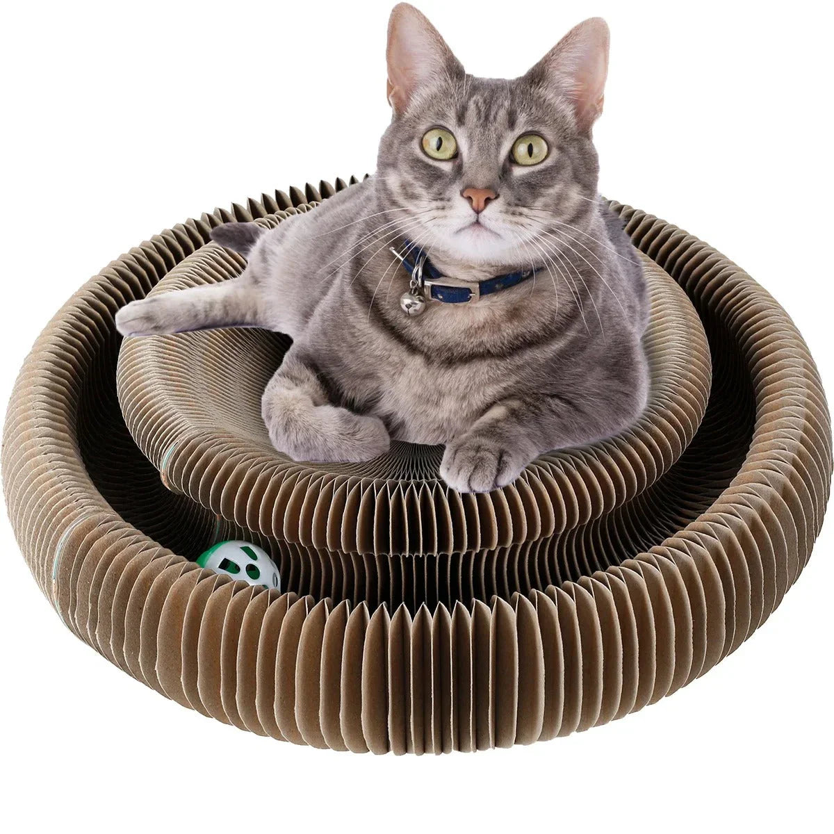 Paw Star Çok Fonksiyonlu Kedi Tırmalama Oyuncağı - MAKKA