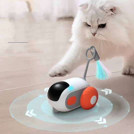 Paw Star Uzaktan Kumandalı Araba Kedi Oyuncağı - MAKKA