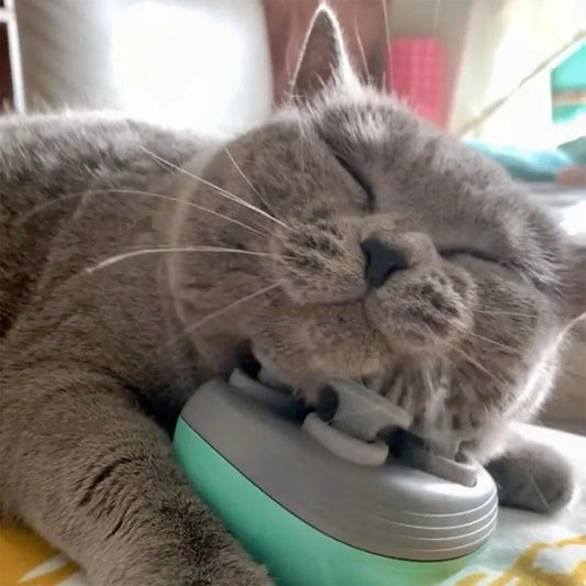 Elektrikli Kedi Masaj Cihazı: Baş Boyun Omuz Derin Masaj - MAKKA