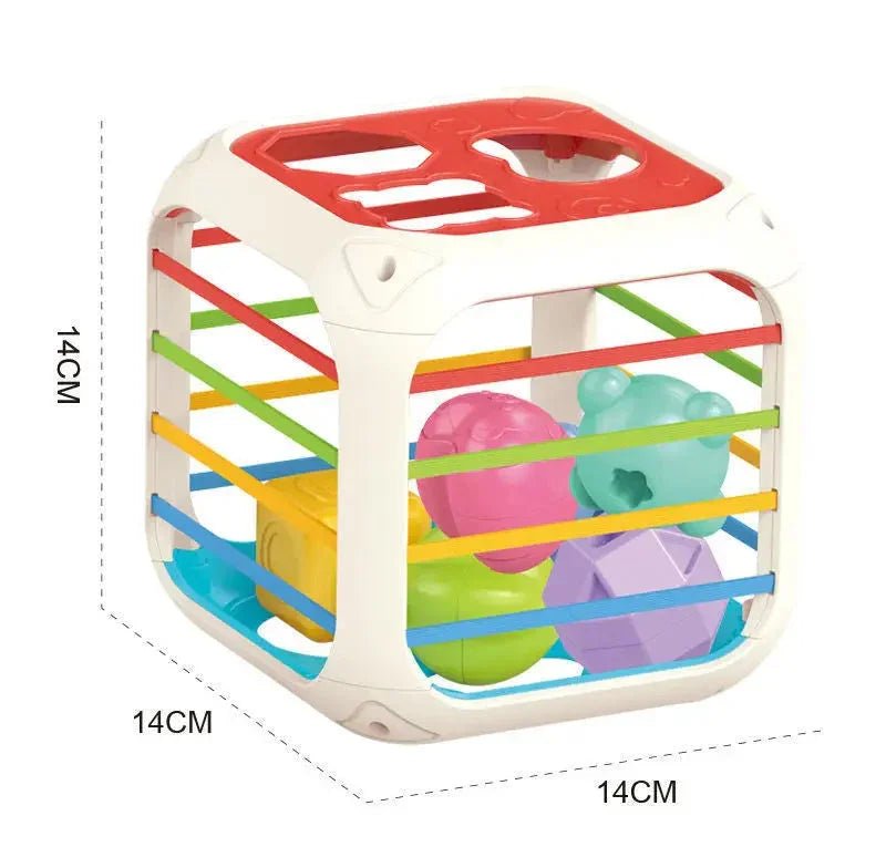 Ahşap Montessori Fonksiyonel Eğitici Aktivite Oyuncağı – İnce Motor Duyu - MAKKA