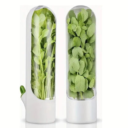 Buzdolabı İçin 2'li Şeffaf Kapaklı Sebze Saklama Kap Seti - MAKKA