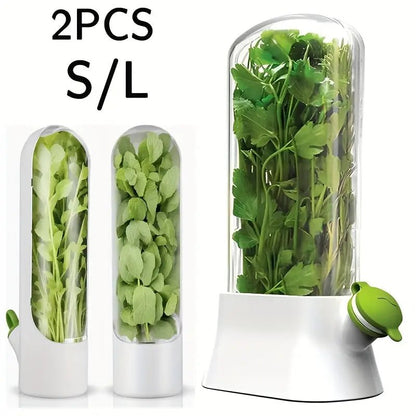 Buzdolabı İçin 2'li Şeffaf Kapaklı Sebze Saklama Kap Seti - MAKKA