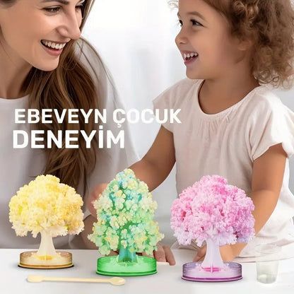 Çocuklar için STEM Kristal Büyüyen Ağaç Bilim Seti - MAKKA