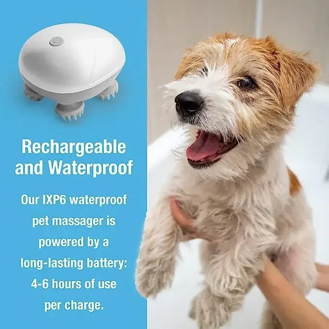 Elektrikli Kedi Masaj Cihazı: Baş Boyun Omuz Derin Masaj - MAKKA