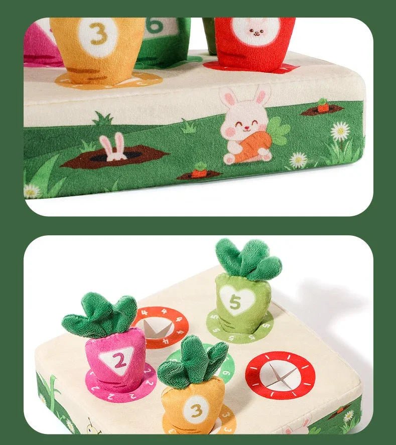 Montessori Havuç Oyuncak Seti 6'lı ve 9'lu Sayı Öğrenme - MAKKA