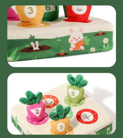 Montessori Havuç Oyuncak Seti 6'lı ve 9'lu Sayı Öğrenme - MAKKA