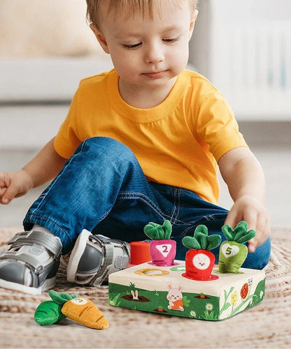 Montessori Havuç Oyuncak Seti 6'lı ve 9'lu Sayı Öğrenme - MAKKA