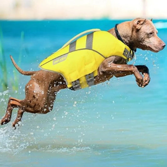 Paw Star Köpek Can Yeleği - MAKKA