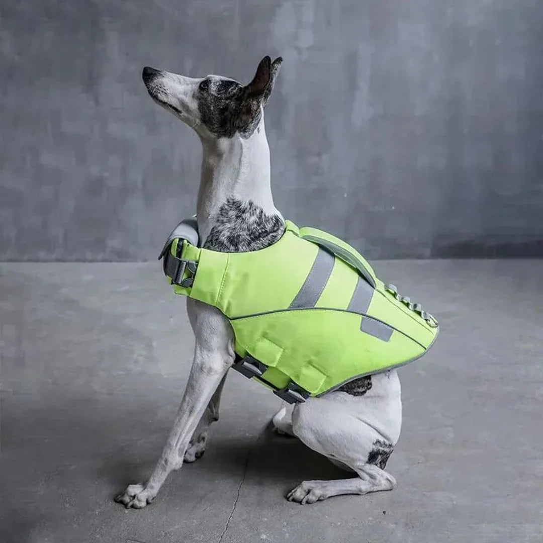 Paw Star Köpek Can Yeleği - MAKKA