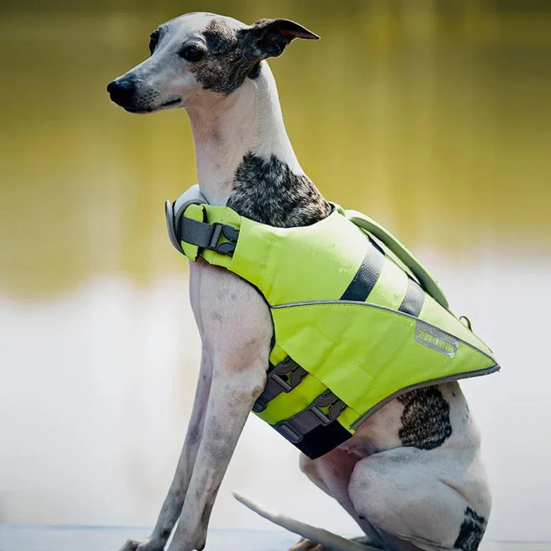 Paw Star Köpek Can Yeleği - MAKKA