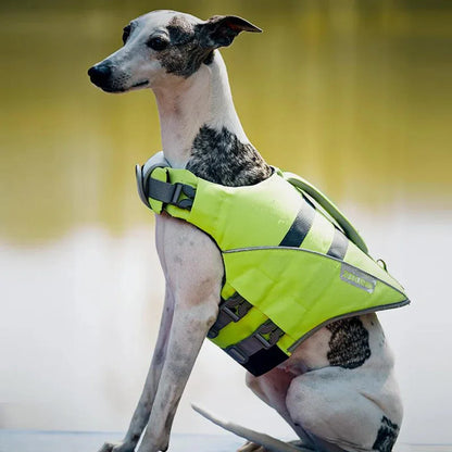 Paw Star Köpek Can Yeleği - MAKKA
