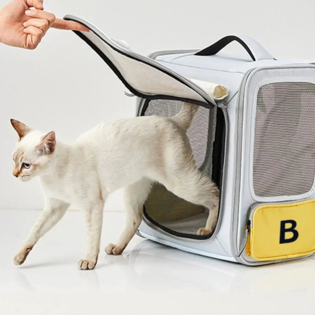 Paw Star Açılabilir Evcil Hayvan Seyahat Çantası - MAKKA