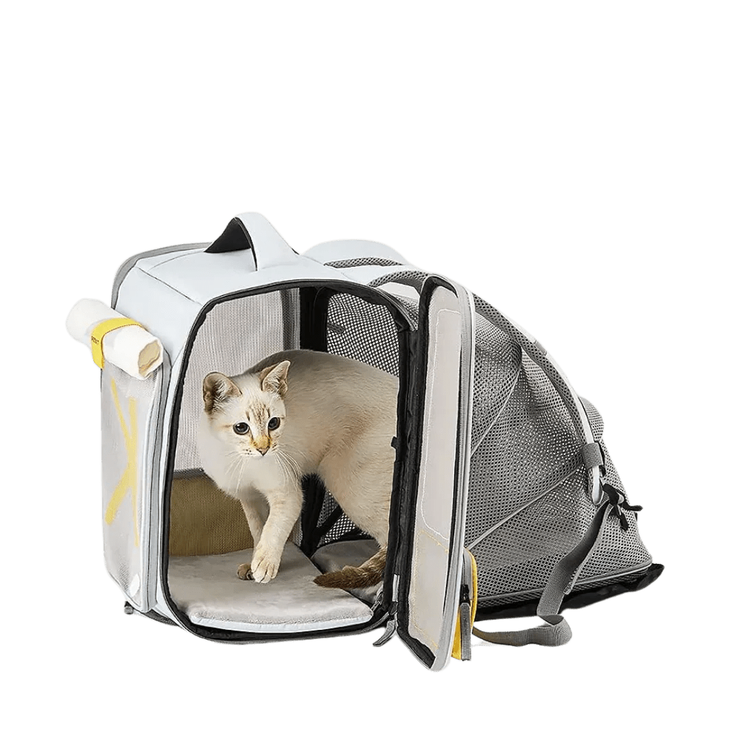 Paw Star Açılabilir Evcil Hayvan Seyahat Çantası - MAKKA