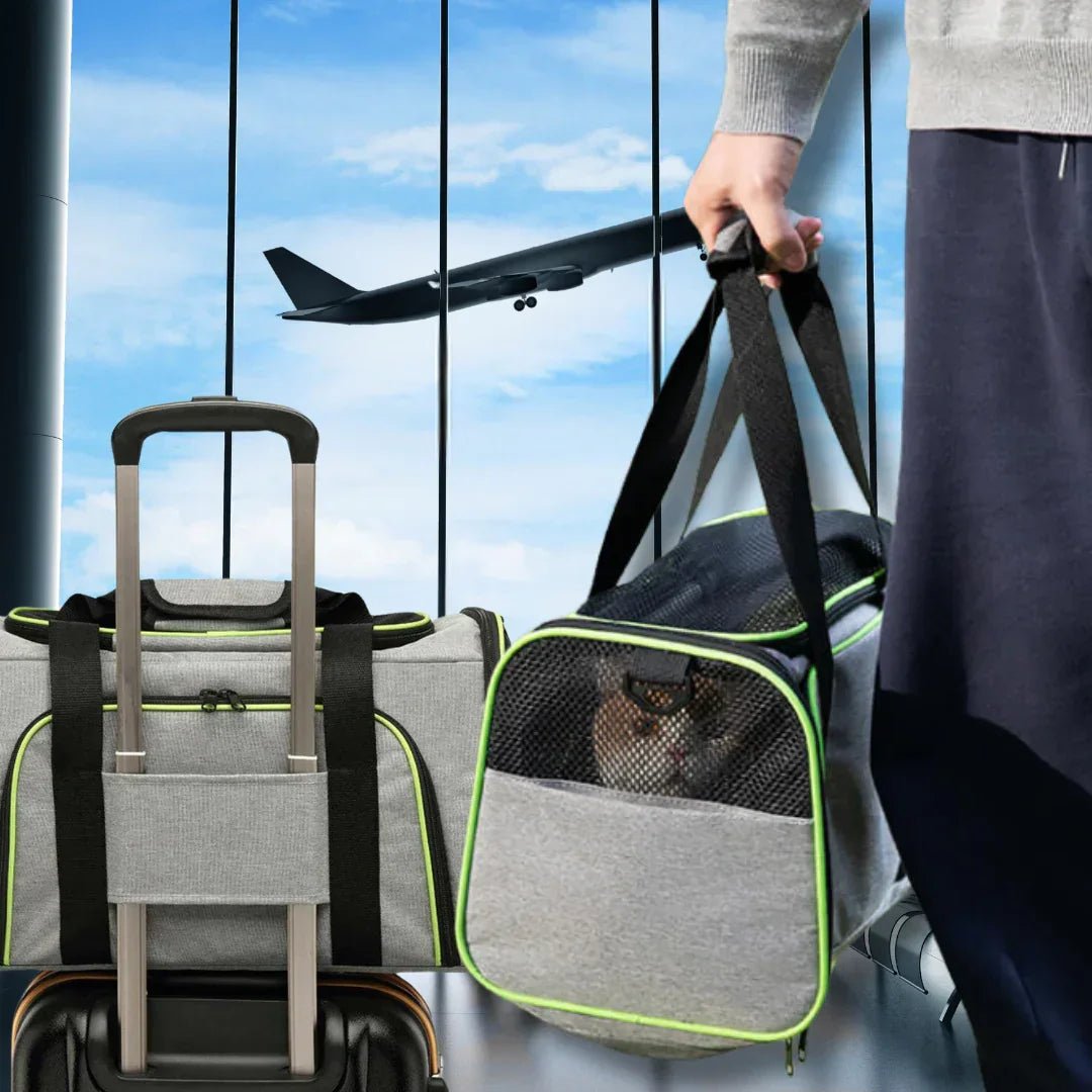 Paw Star Açılabilir Evcil Hayvan Taşıma Çantası - MAKKA