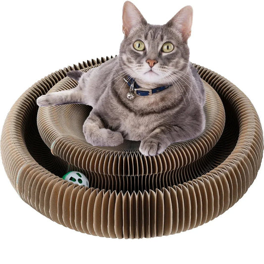 Paw Star Çok Fonksiyonlu Kedi Tırmalama Oyuncağı - MAKKA