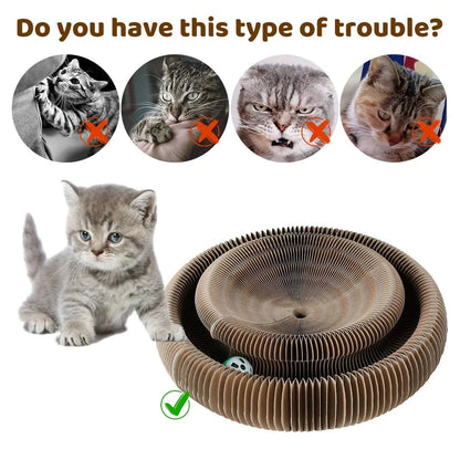 Paw Star Çok Fonksiyonlu Kedi Tırmalama Oyuncağı - MAKKA