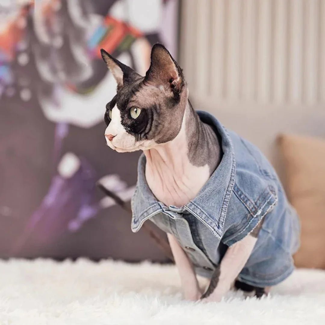 Paw Star Denim Ceket Kedi Kıyafeti - MAKKA