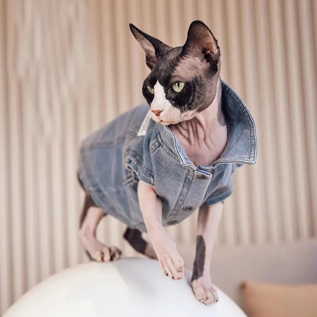 Paw Star Denim Ceket Kedi Kıyafeti - MAKKA