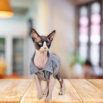 Paw Star Denim Ceket Kedi Kıyafeti - MAKKA