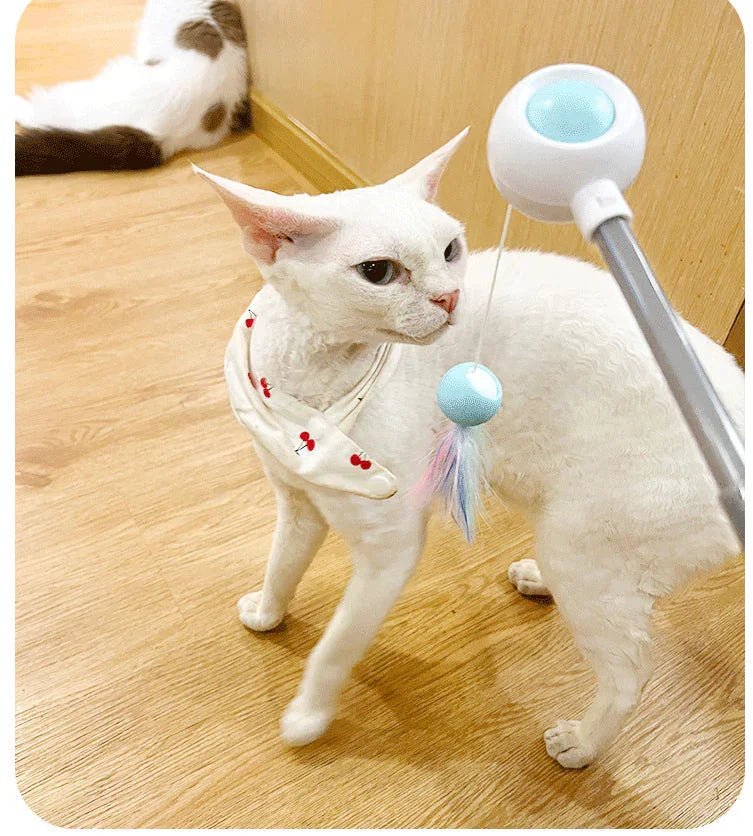 Paw Star Geri Çekilebilir Esnek Kedi Değnek Oyuncağı - MAKKA