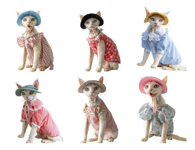 Paw Star Güneş Koruyucu Kedi Şapkası - MAKKA