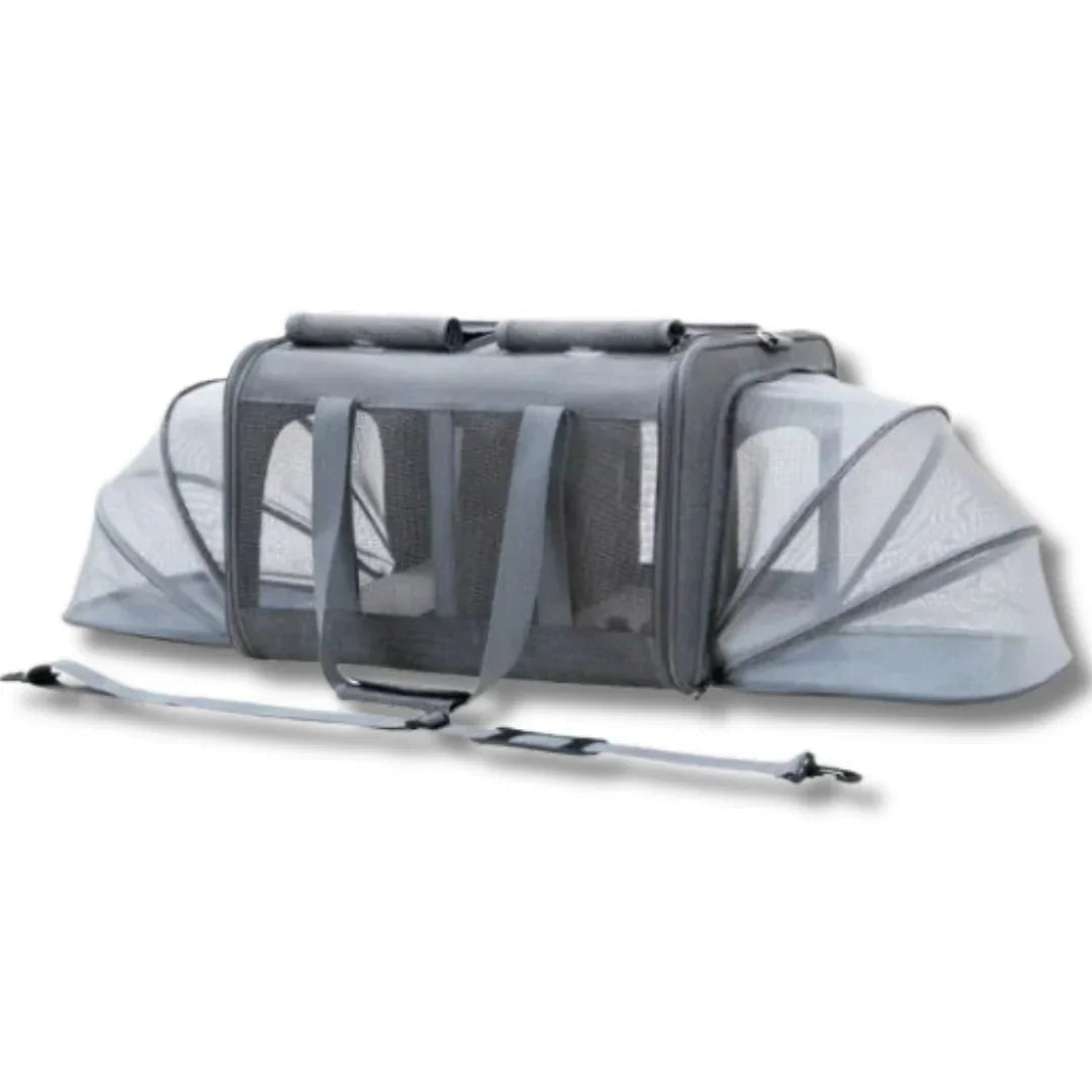 Paw Star Katlanabilir Evcil Hayvan Seyahat Çantası - MAKKA