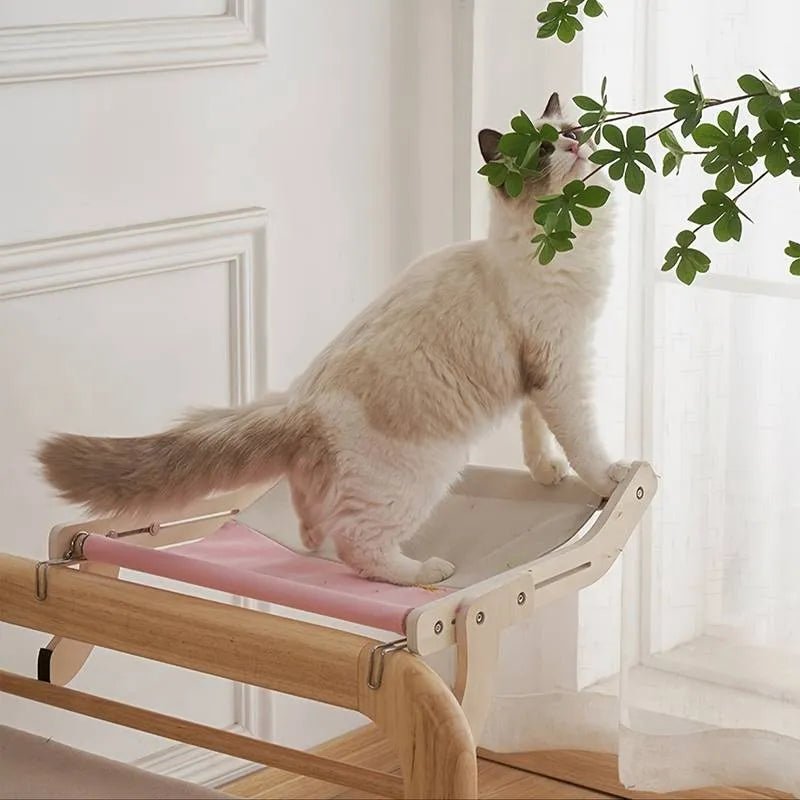 Paw Star Kedi Hamağı - MAKKA