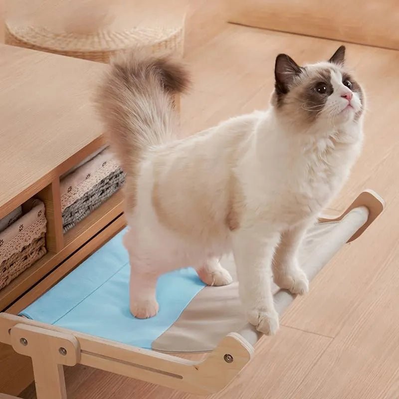 Paw Star Kedi Hamağı - MAKKA