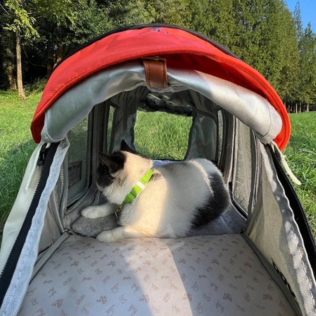 Paw Star Kedi Köpek Açılabilir Büyük Seyahat Çantası - MAKKA