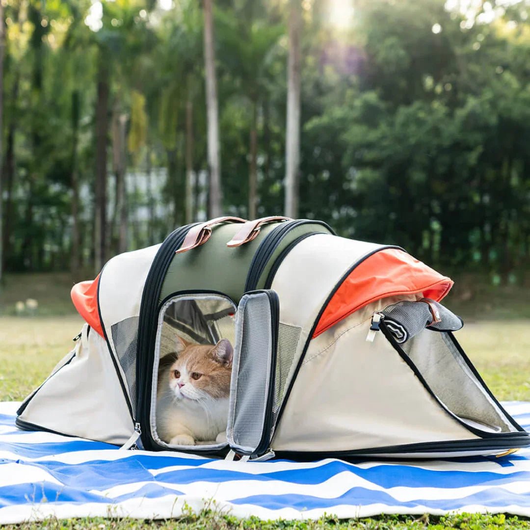 Paw Star Kedi Köpek Açılabilir Büyük Seyahat Çantası - MAKKA