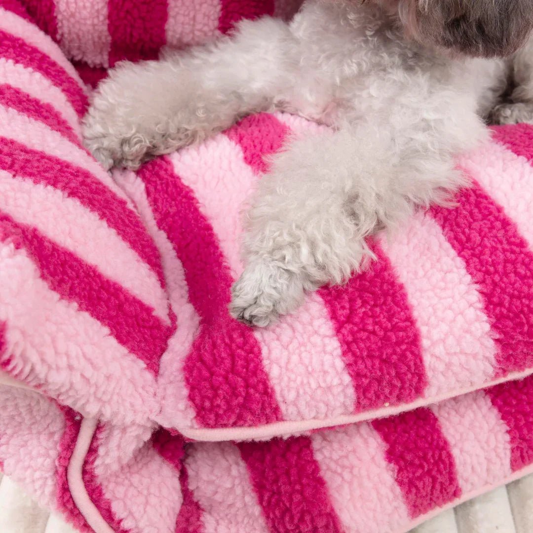 Paw Star Kedi Köpek Koltuğu - MAKKA