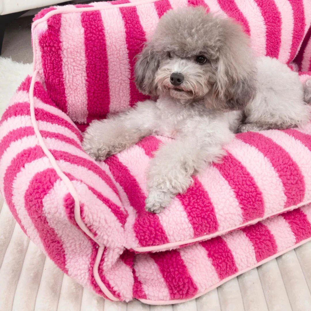 Paw Star Kedi Köpek Koltuğu - MAKKA