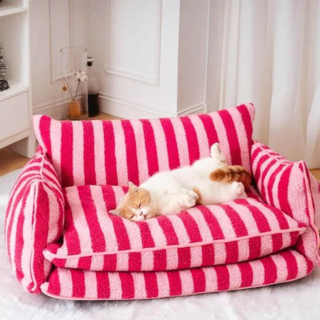 Paw Star Kedi Köpek Koltuğu - MAKKA