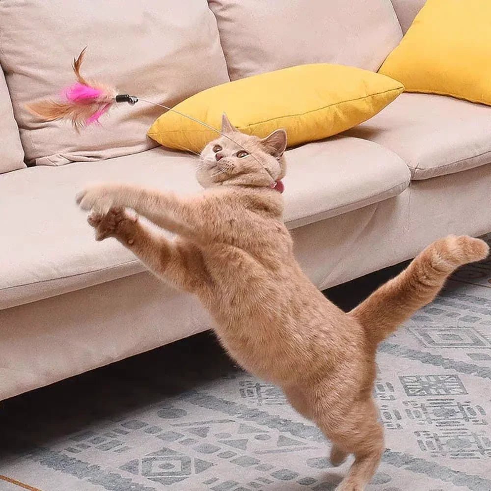 Paw Star Kedi Oyuncağı Tüy Yakalık - MAKKA