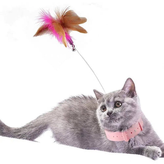 Paw Star Kedi Oyuncağı Tüy Yakalık - MAKKA