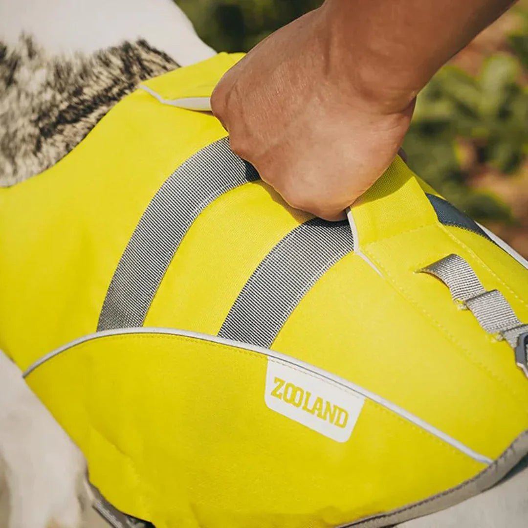 Paw Star Köpek Can Yeleği - MAKKA