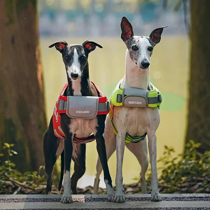 Paw Star Köpek Can Yeleği - MAKKA