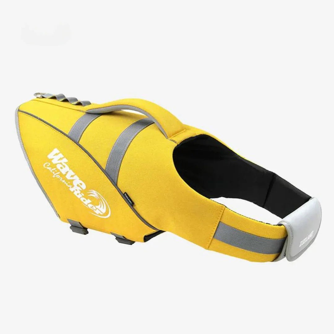 Paw Star Köpek Can Yeleği - MAKKA