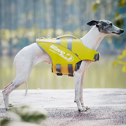 Paw Star Köpek Can Yeleği - MAKKA