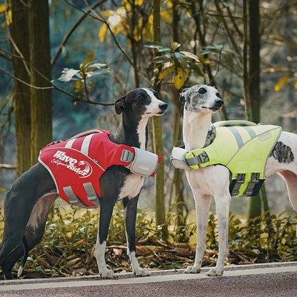 Paw Star Köpek Can Yeleği - MAKKA